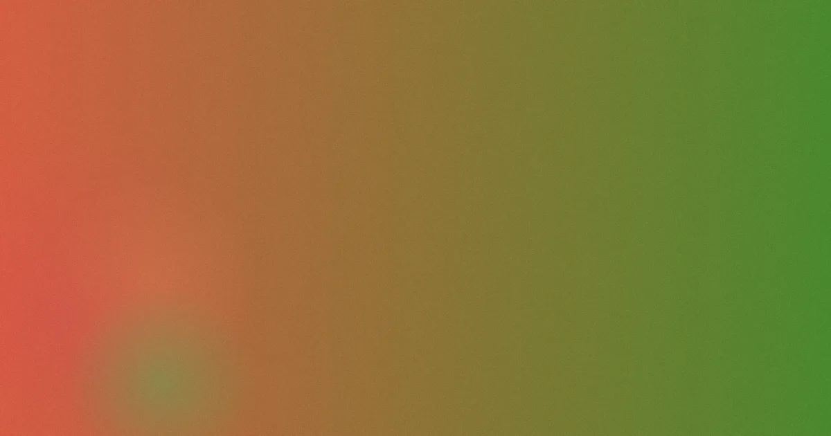 饼干老师星星糖测评避坑